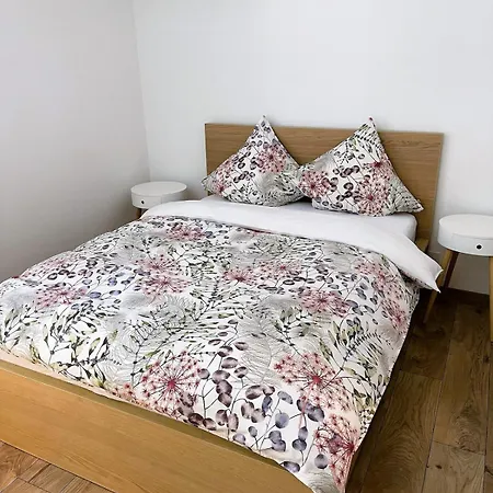 Apartment Neu Renovierte Grosse In Der Stadt *