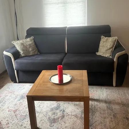 Apartment Neu Renovierte Grosse In Der Stadt