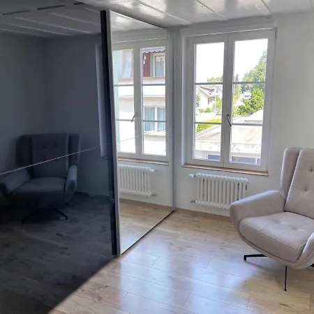 Apartament Neu Renovierte Grosse In Der Stadt